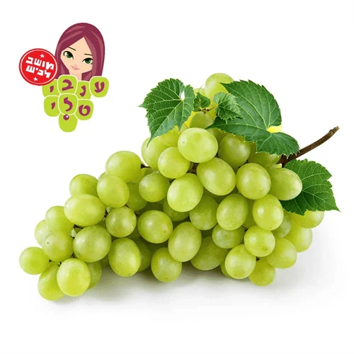 ענבי טלי
