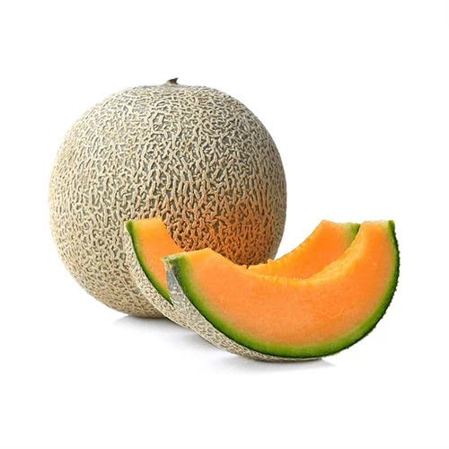מילון