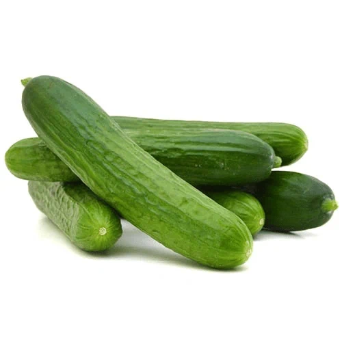 מלפפון